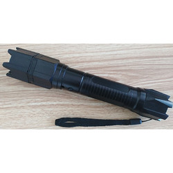 個(gè)人能否持有電棍？